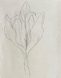 Ellsworth Kelly atribuido