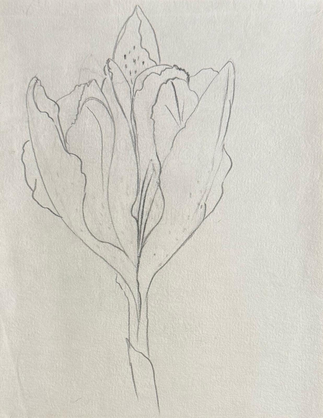 Ellsworth Kelly atribuido