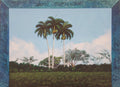 Roger Hechavarria Espinosa (Cuban)