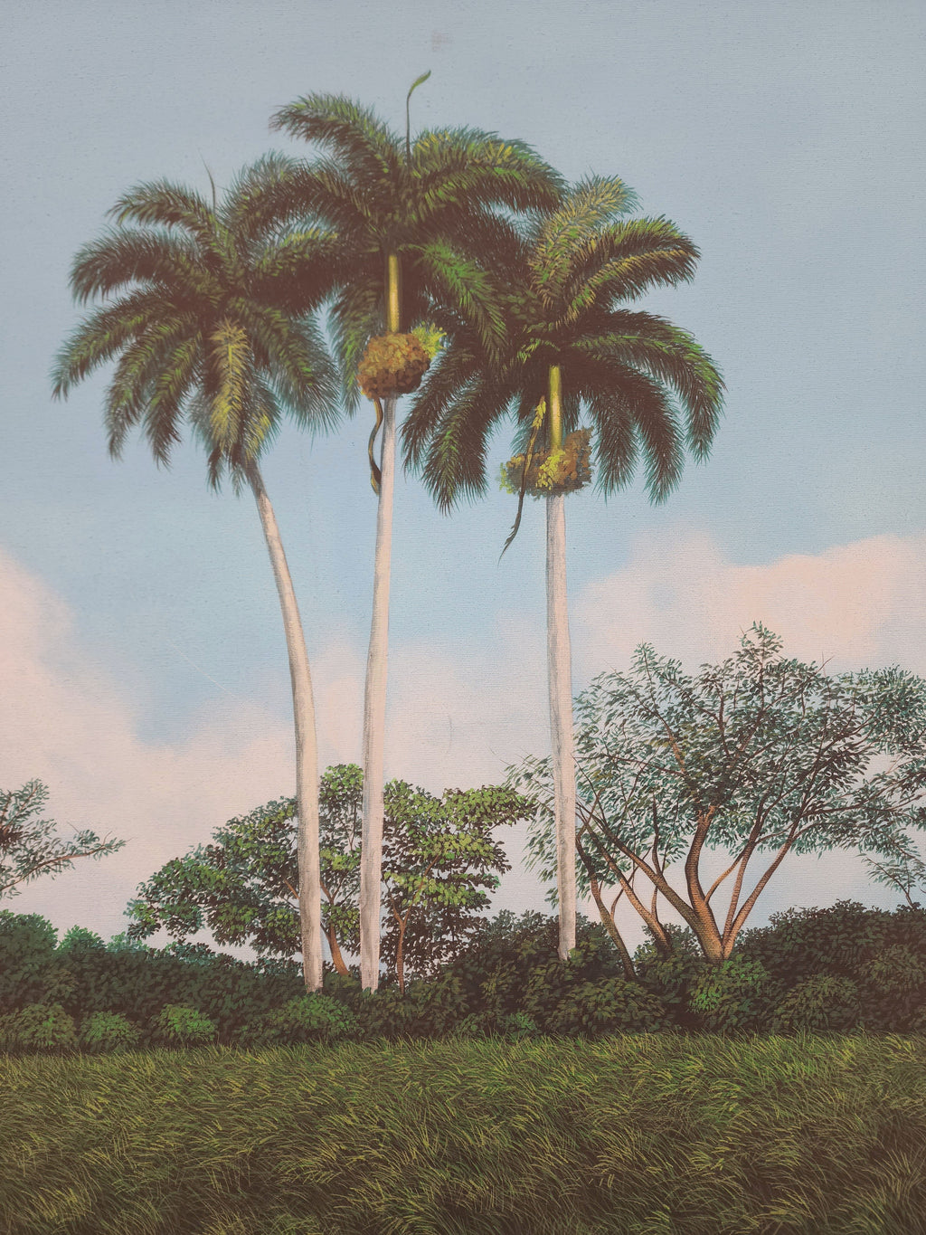 Roger Hechavarria Espinosa (Cuban)