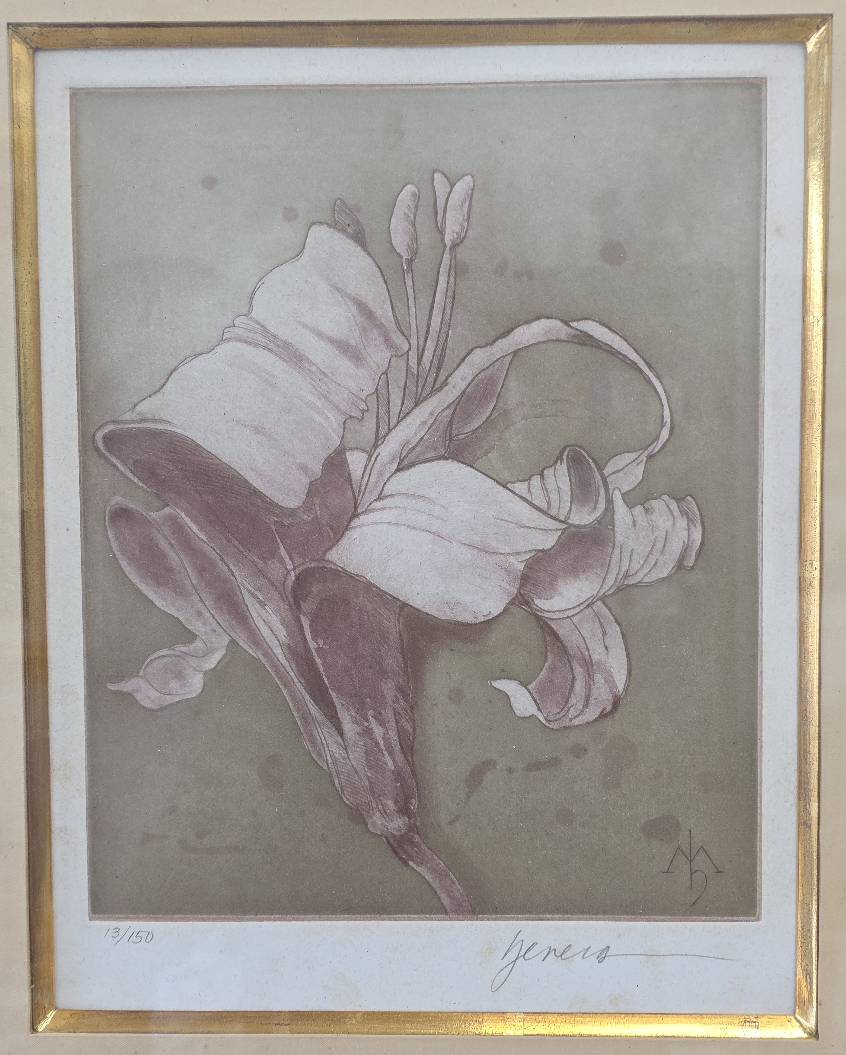Jeners signed and numbered flower framed lithograph