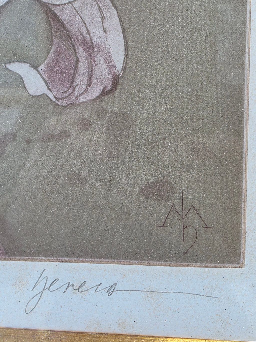 Jeners signed and numbered flower framed lithograph