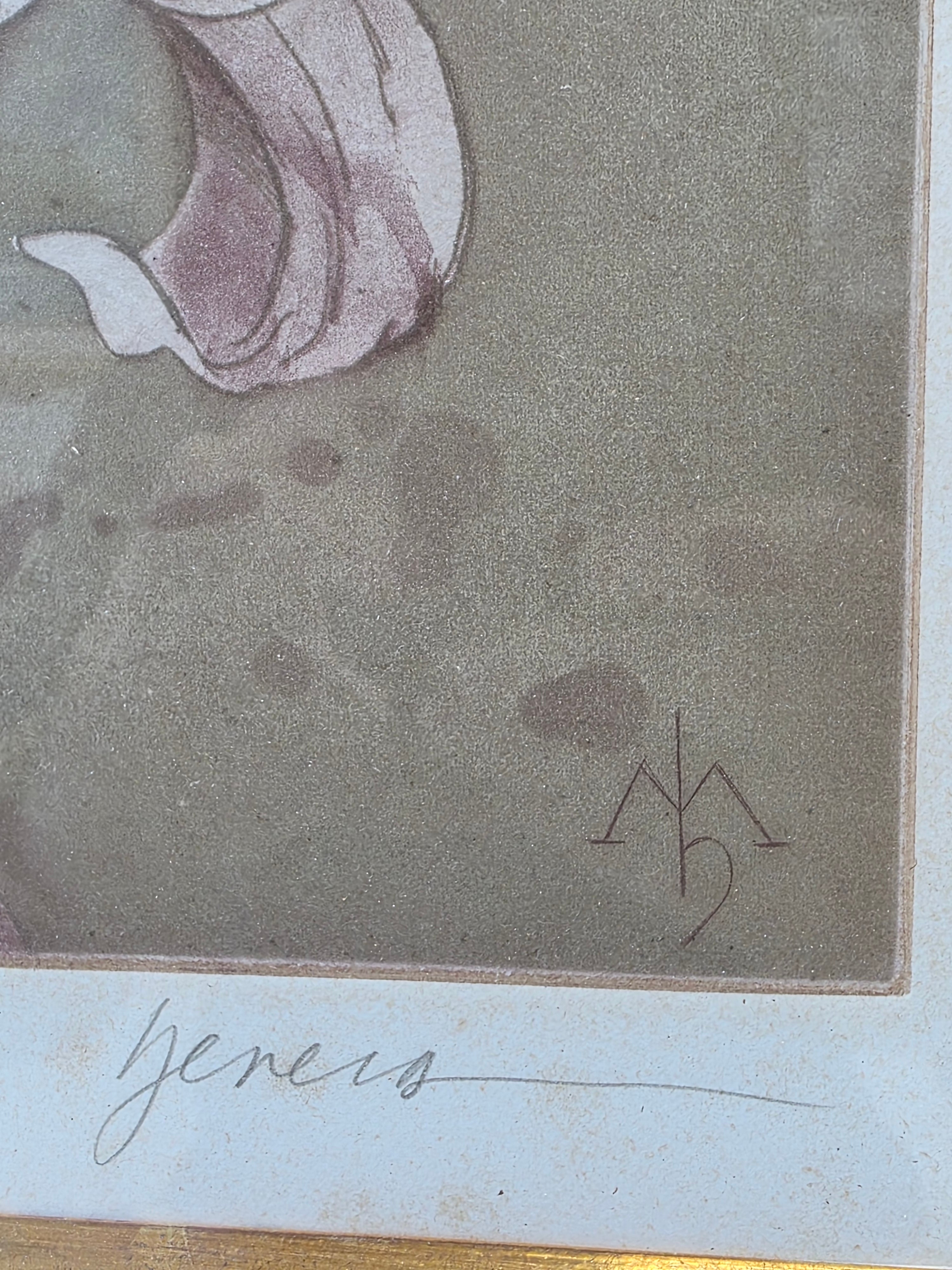 Jeners signed and numbered flower framed lithograph